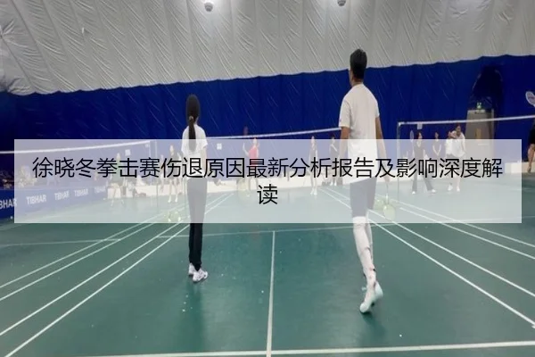 徐晓冬拳击赛伤退原因最新分析报告及影响深度解读