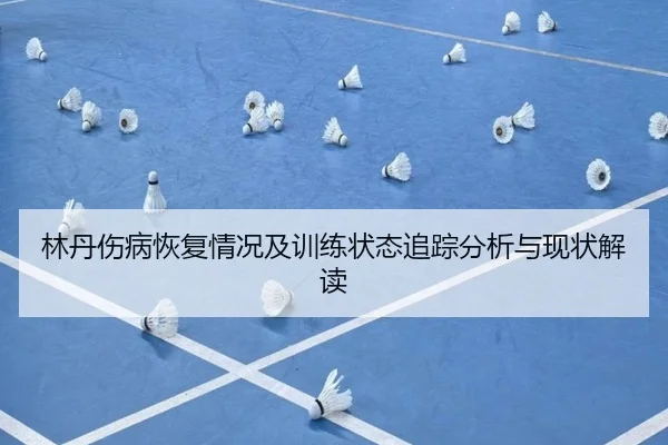 林丹伤病恢复情况及训练状态追踪分析与现状解读