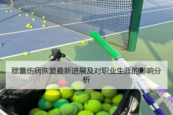 穆雷伤病恢复最新进展及对职业生涯的影响分析
