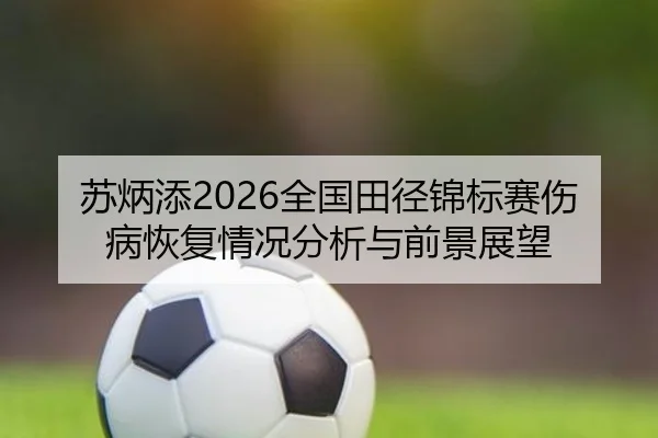 苏炳添2026全国田径锦标赛伤病恢复情况分析与前景展望