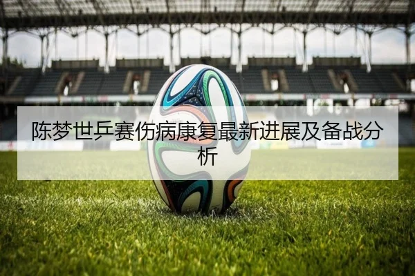 陈梦世乒赛伤病康复最新进展及备战分析