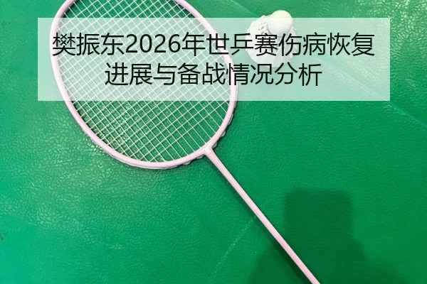 樊振东2026年世乒赛伤病恢复进展与备战情况分析