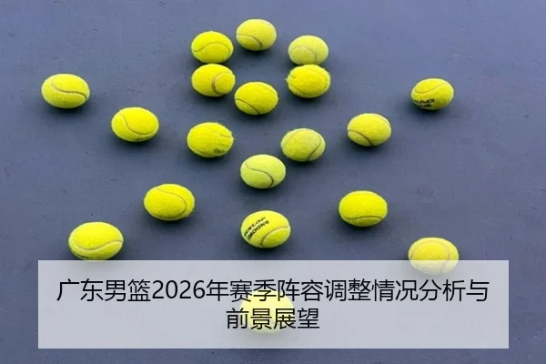 广东男篮2026年赛季阵容调整情况分析与前景展望